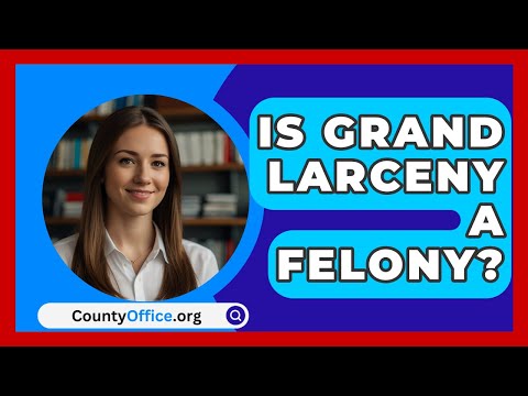 Comprehensive Overview of Grand Larceny Cases and Legal Implications