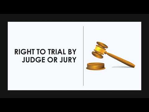 Ultimate Overview of 54b District Court