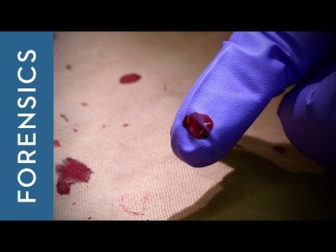 DNA Evidence in Forensic Science and Legal Proceedings