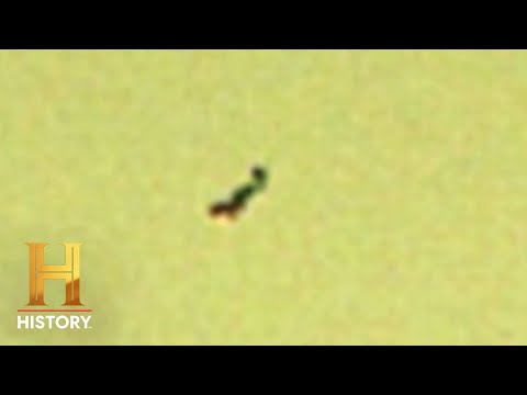 Understanding the Current Status of an Alien Case