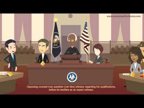 Locate Qualified Expert Witnesses for Your Case