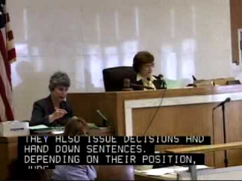 Judge Louise DiMatteo Profile and Career Overview