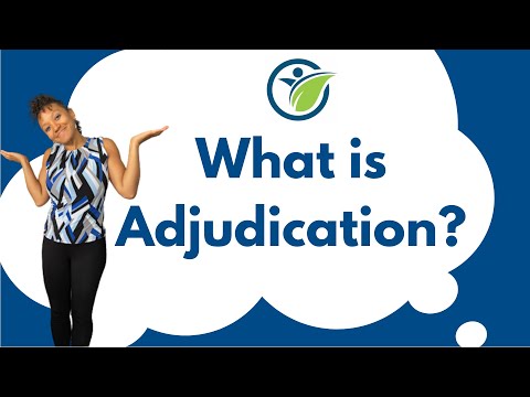 Understanding the Adjudication Trial Process: Everything You Need to Know