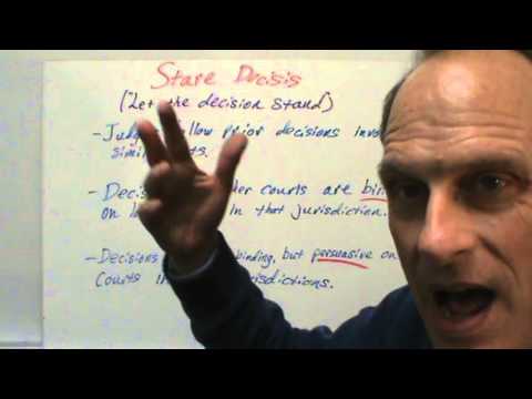 Understanding Common Law Case Law: Key Principles and Examples