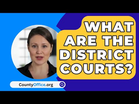 Essential Information on the 366th District Court