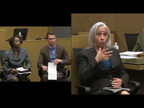 Expert Witness with Controlled Testimony
