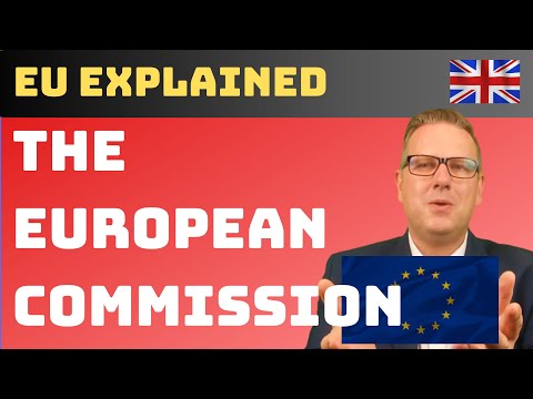 European Commission Decisions: Key Insights and Implications for Policy and Governance