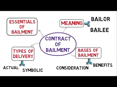 Understanding Bailment Case Law: Important Legal Information and Precedents