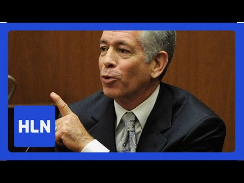 Effective Speech Examples of Expert Testimony