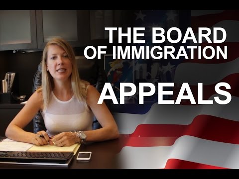 Navigating the Board of Immigration Appeals: Everything You Need to Know