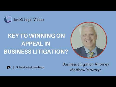 Key Insights into Business Litigation Cases: Everything You Need to Know