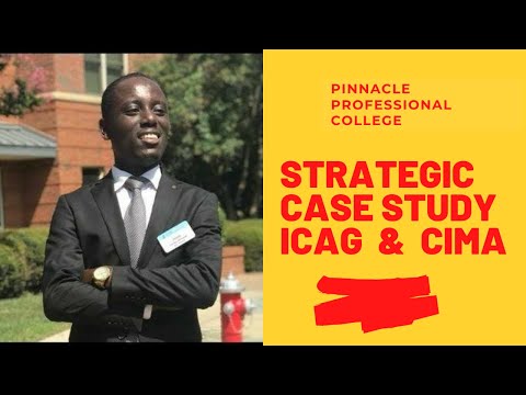 Analysis of Corporate Level Strategy Case Study: Key Insights and Findings