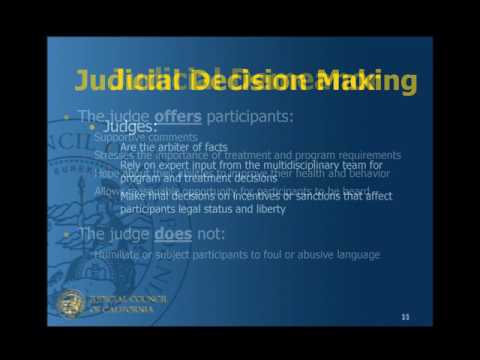 Understanding the Role of County Drug Court in the Legal System