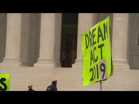 DACA Oral Argument: Key Points and Insights