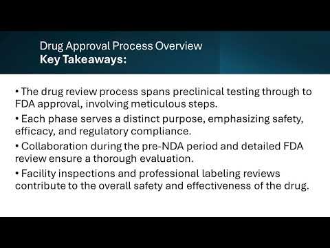Comprehensive Overview of FDA Approval Process Phases
