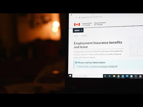 Understanding Cerb Appeal: Everything You Need to Know