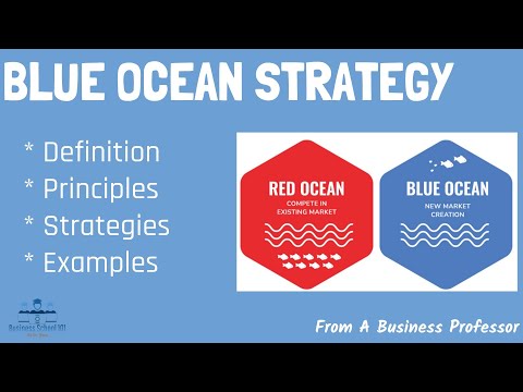 How a Company Successfully Implemented Blue Ocean Strategy: A Case Study