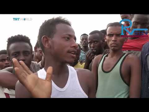 IOM Case Status Updates and Information