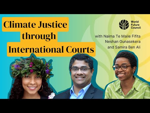 ITLOS Case Law Analysis and Insights