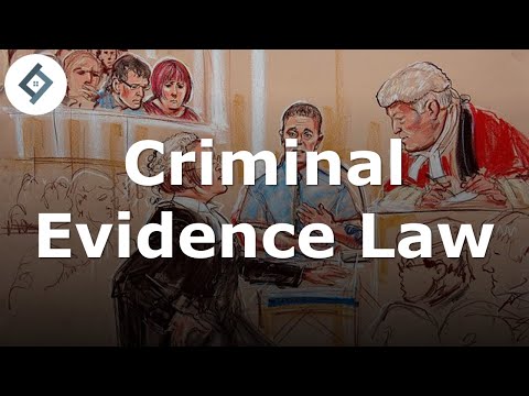 Comprehensive Analysis of Evidence A in Legal Context