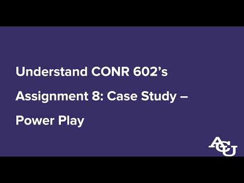 Analyzing a Conflict Case Study Assignment with Expert Strategies
