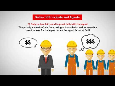 Understanding the Basics of Contract Law with an Agency