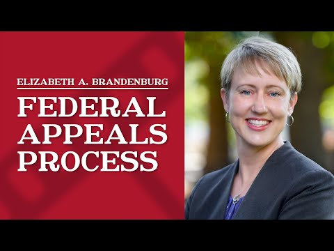 How to File in the Federal Court of Appeal for Your Case