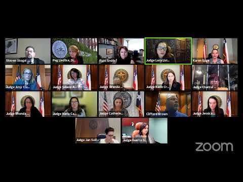 Complete Overview of the 261st District Court