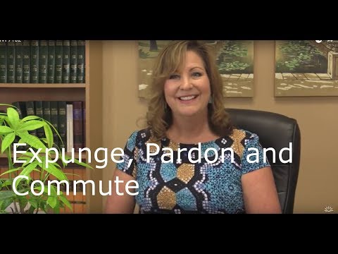 Efficient CT Expedited Pardon Process: A Comprehensive Overview