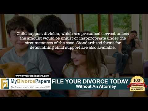 Tennessee Government Divorce Forms: A Comprehensive Overview