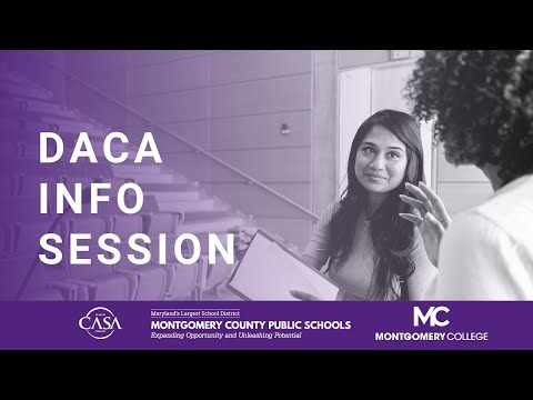 Understanding the Current Status of DACA Cases