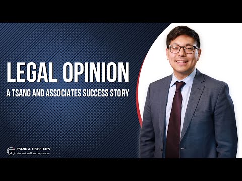 Comprehensive Legal Opinion Document Services