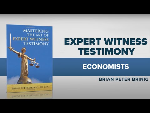 Comprehensive Economic Witness Services for Legal Proceedings