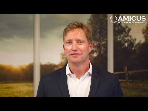 Understanding the Amicus Settlement Process: Key Insights