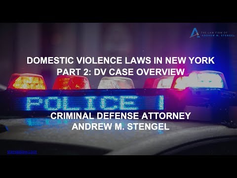 Domestic Violence Criminal Case Insights and Implications