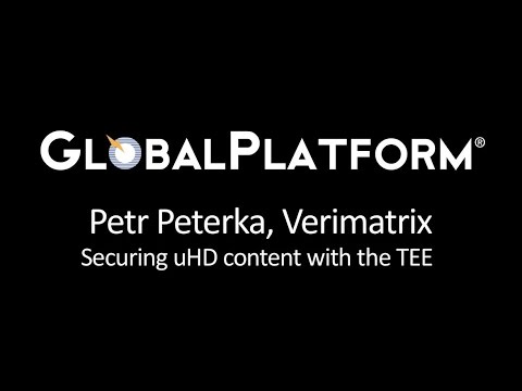 Exetenet Trial Overview and Insights