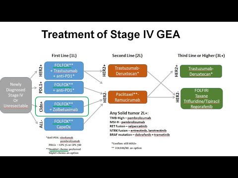 Astellas CLDN18-2: Key Information and Insights
