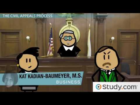 Sample Brief for First Circuit Court of Appeals: A Practical Example