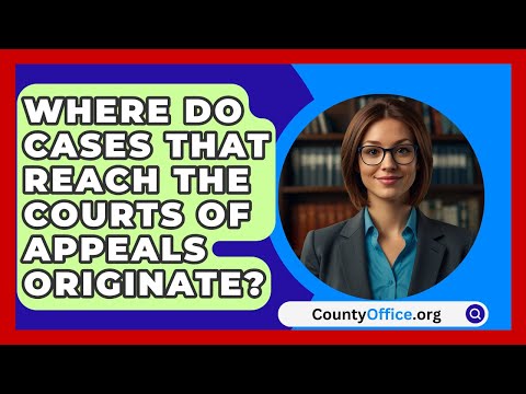 Understanding the Court of Appeals Decision: A Comprehensive Overview