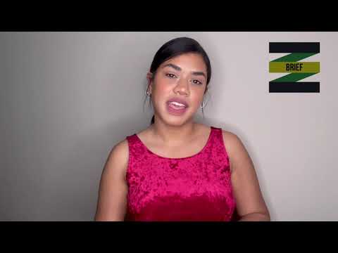Understanding the Concept of Brief in Legal Terms