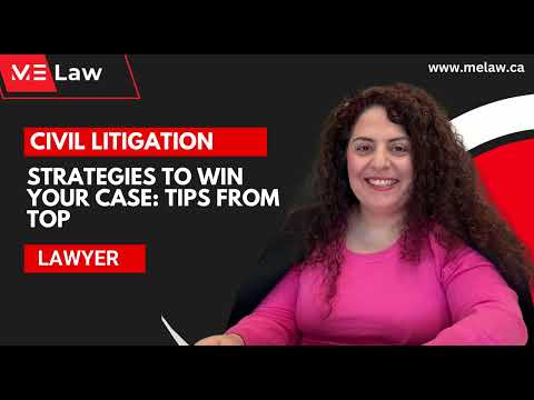 Federal Civil Litigation Strategies and Insights