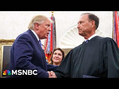 Alito Judge: Insights and Analysis