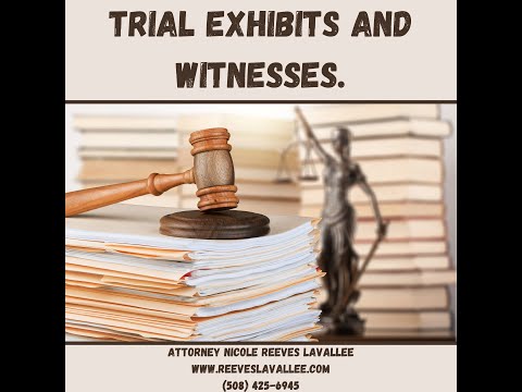 Effective Use of Expert Reports as Trial Exhibits