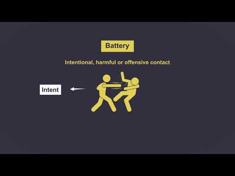 Key Aspects of Intentional Tort Lawsuits and Their Implications