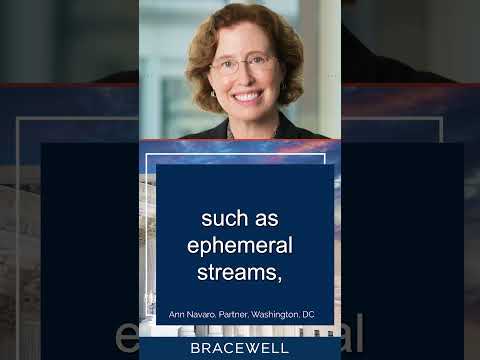 Analyzing Recent Environmental Court Decisions: Insights and Implications
