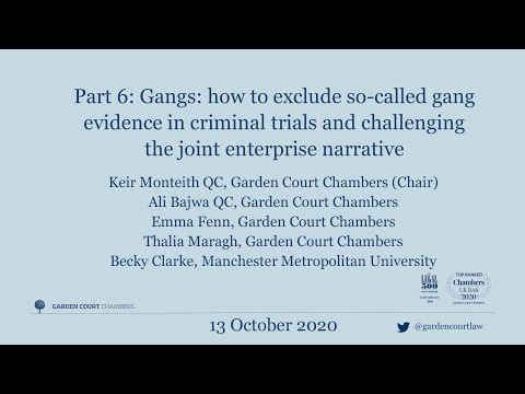 Gang Expert Testimony Insights in Legal Proceedings
