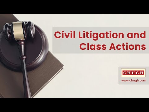 Class Action Civil Rights: Key Insights and Legal Strategies