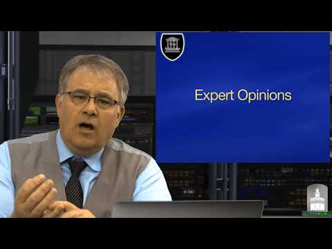 Analyzing Hearsay in Expert Witness Testimonies