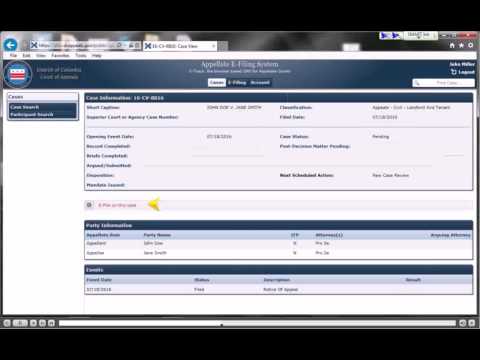 How to Conduct a Court of Appeals Case Search Efficiently