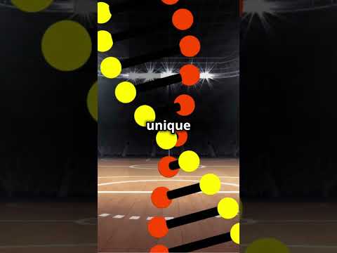 An In-depth Analysis of the Supreme Court's Basketball Court